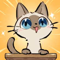 猫咖怪谈