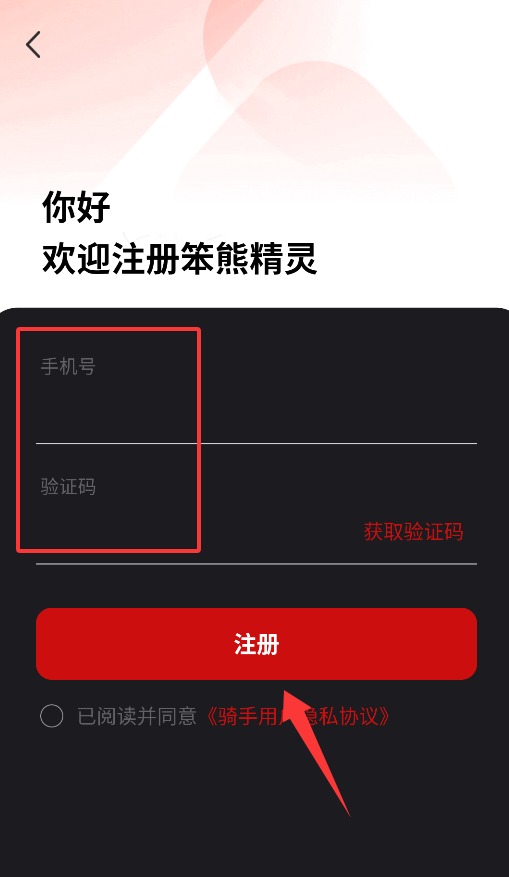 笨熊精灵