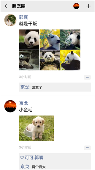 队信截图3