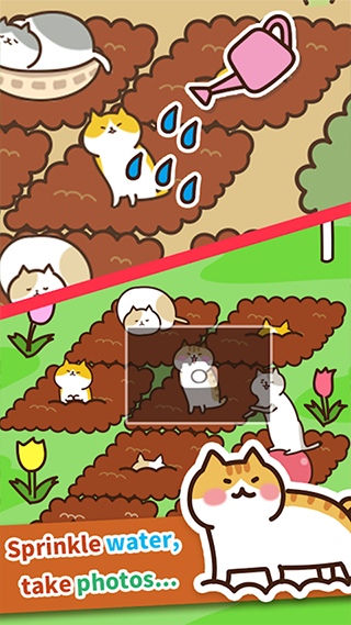 猫咪田园正版截图3