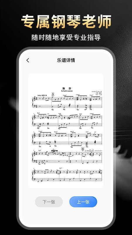 完美节奏钢琴最新版截图0