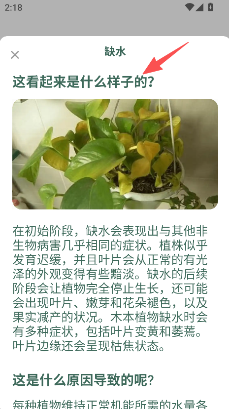 爱馨花园