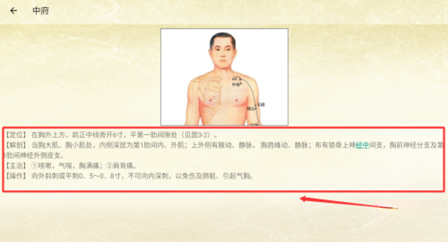 穴位按摩宝典