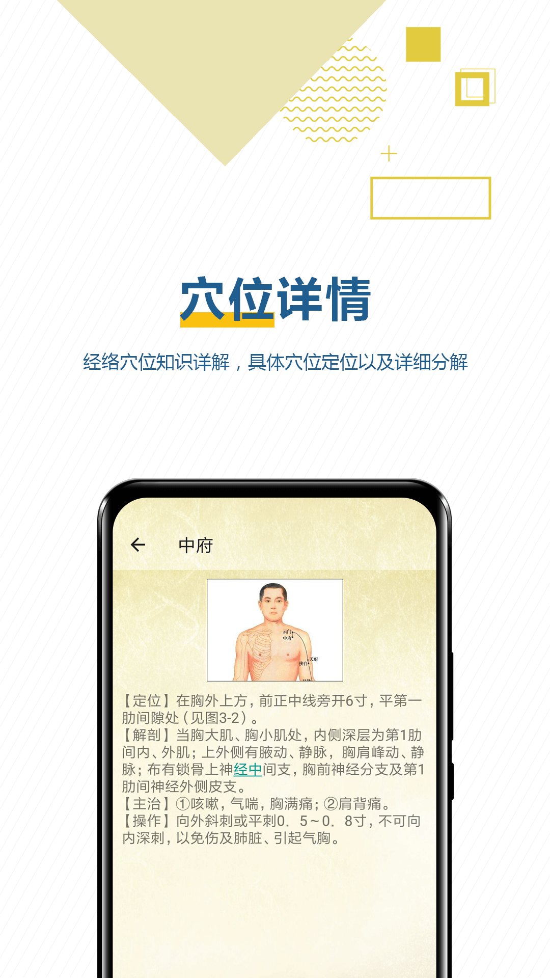 穴位按摩宝典截图1