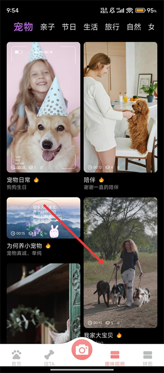 宠物翻译
