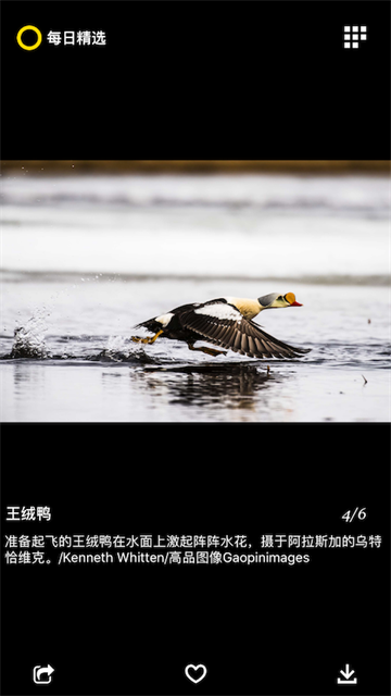 每日精选截图1