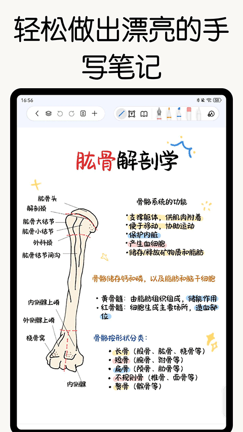 自由笔记正版截图2