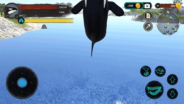 虎鲸模拟器免费截图1