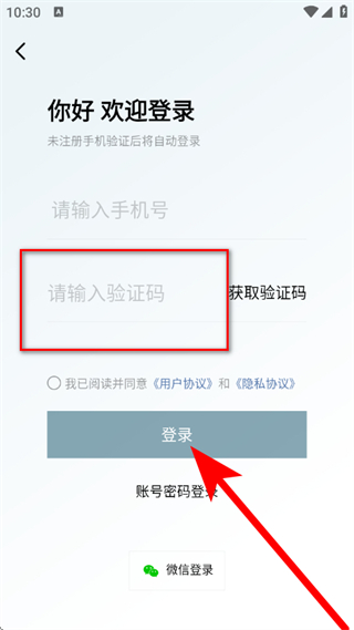 东风风行