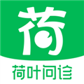 荷叶问诊