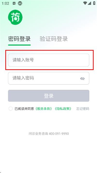 荷叶问诊