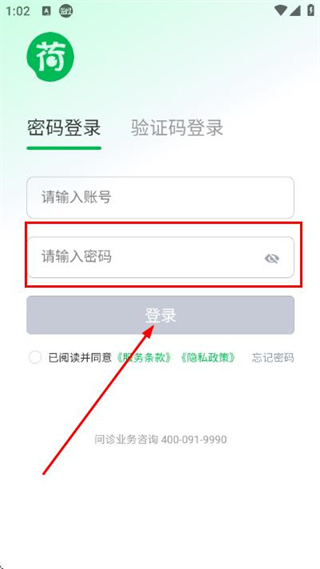 荷叶问诊