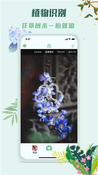 识花君植物识别截图3