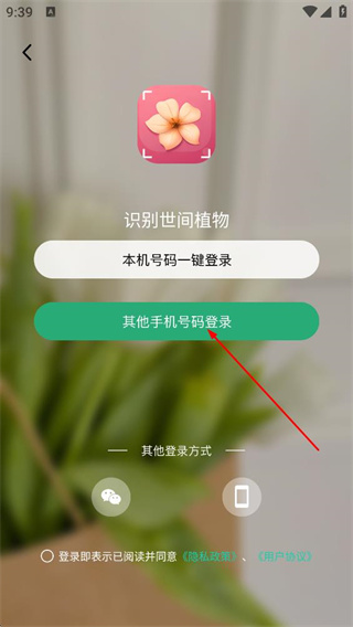 识花君植物识别