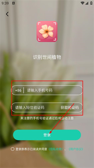 识花君植物识别