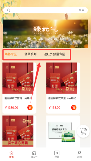臻元气