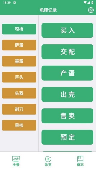 龟爬记录