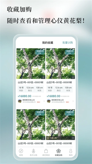 良木森林平台截图2