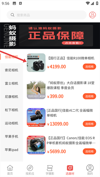 蚂蚁摄影