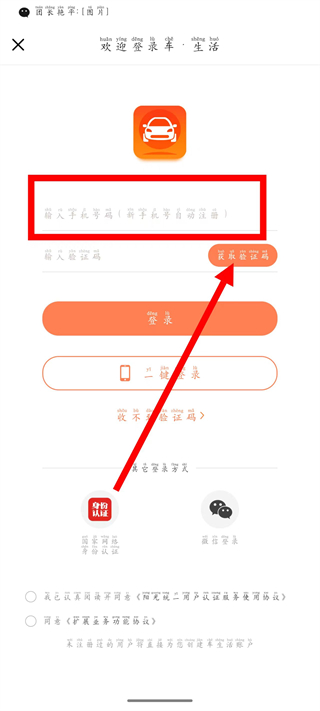 阳光车生活