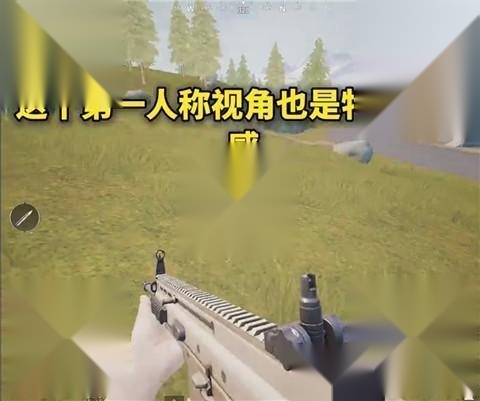 画质MxPro无任务版
