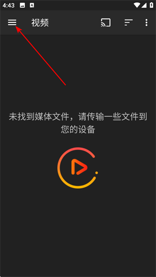 金狮播放器
