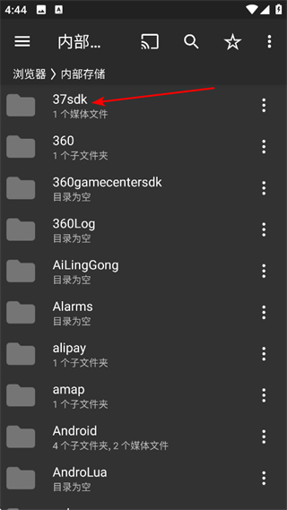金狮播放器