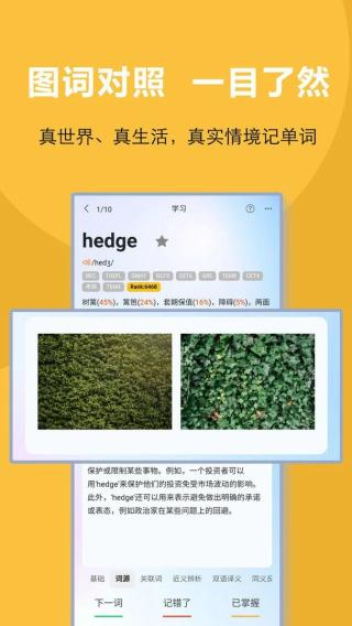 过目不忘单词截图3