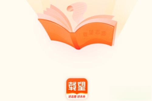 载望志愿
