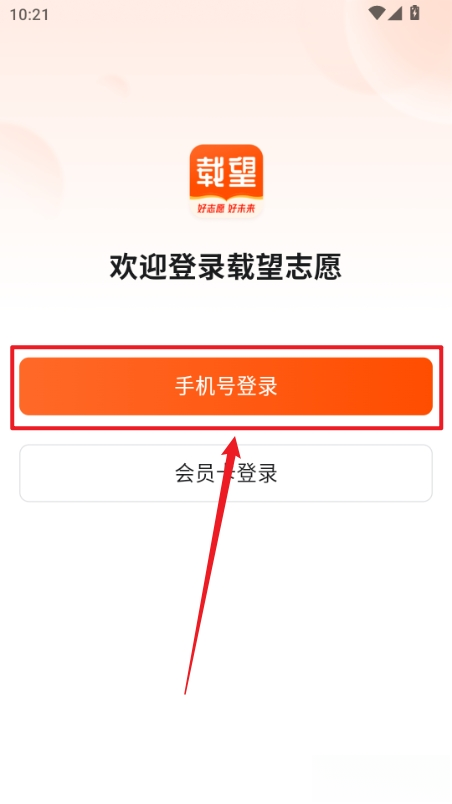 载望志愿