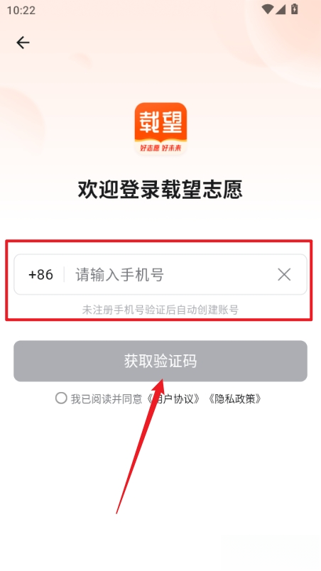 载望志愿