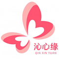 沁心缘小说