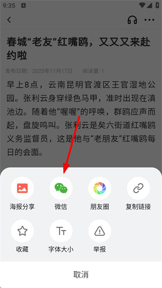 集贤融媒