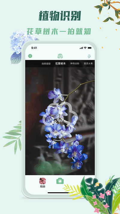 识花君拍照识别植物绿色版截图0