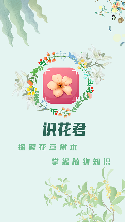 识花君拍照识别植物绿色版截图3