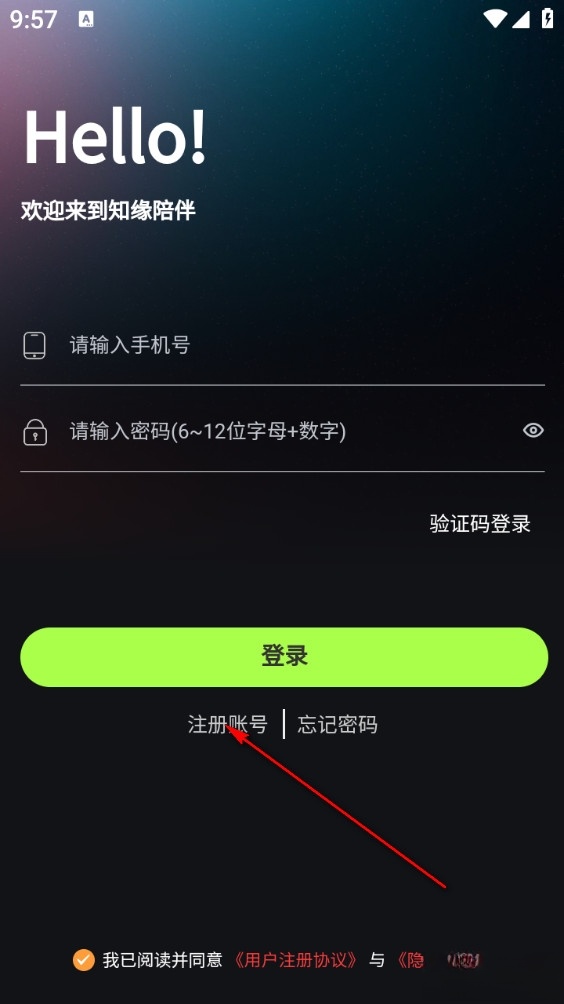 知缘陪伴