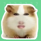 猪妞语音盒