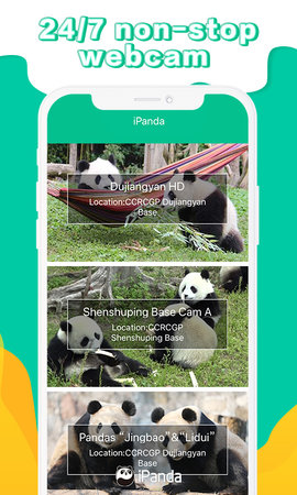 iPanda截图1