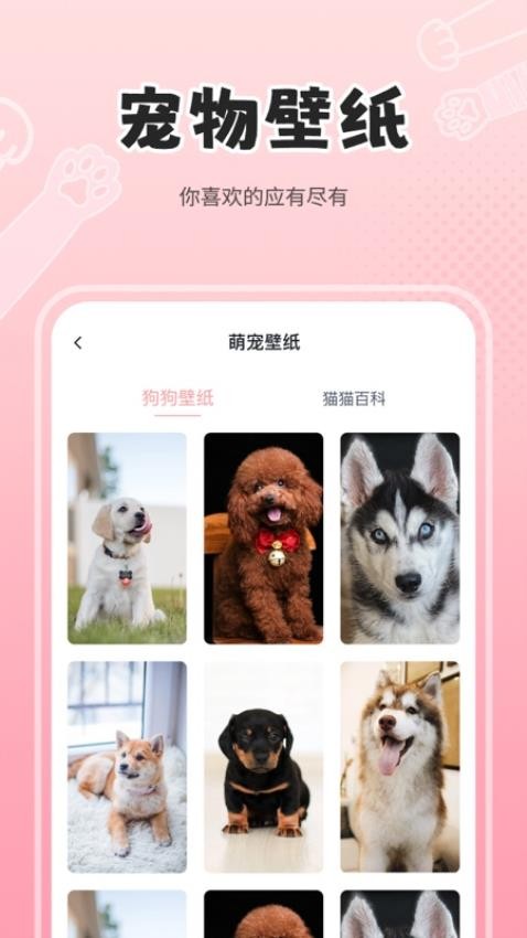 人狗猫交流器