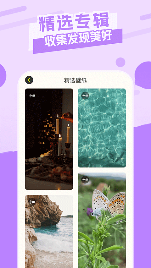 主题库pro免费版截图1