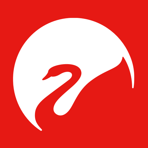 Swan Audio