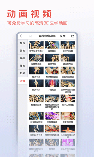 3dbody解剖软件截图3