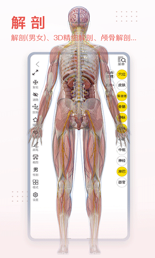 3dbody解剖软件截图2