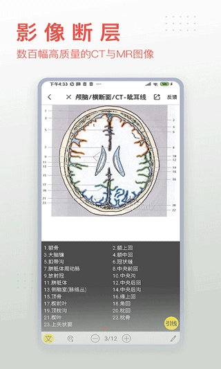 3dbody解剖软件截图0