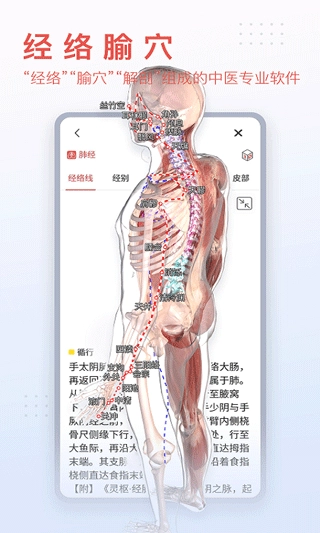 3dbody解剖软件截图4
