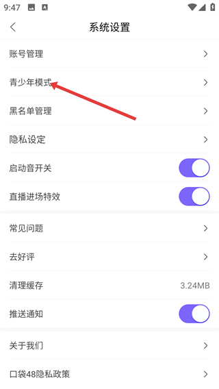 口袋48