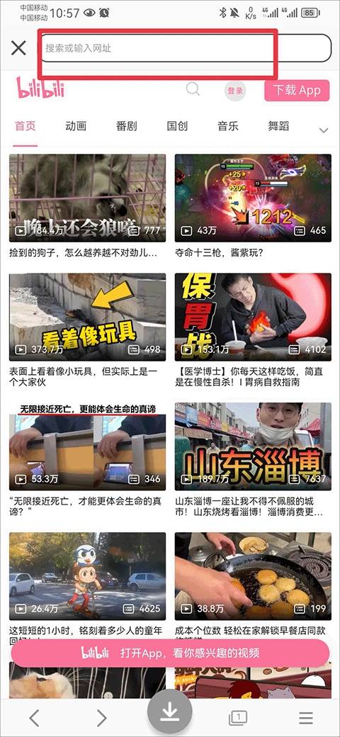 视频素材大全手机版