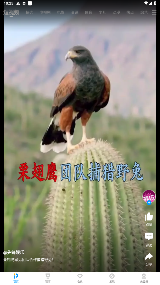 PP视频