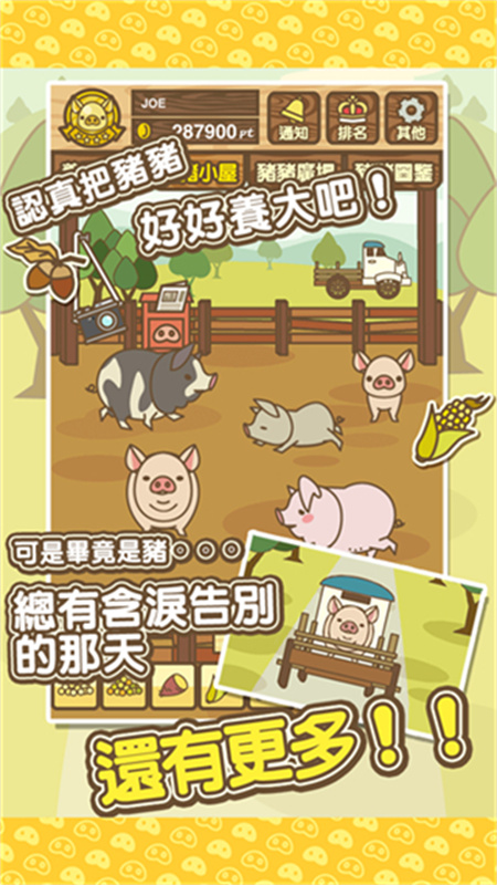 养猪场MIX截图2