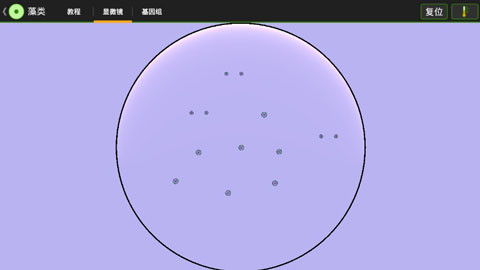 细胞实验室汉化版截图2